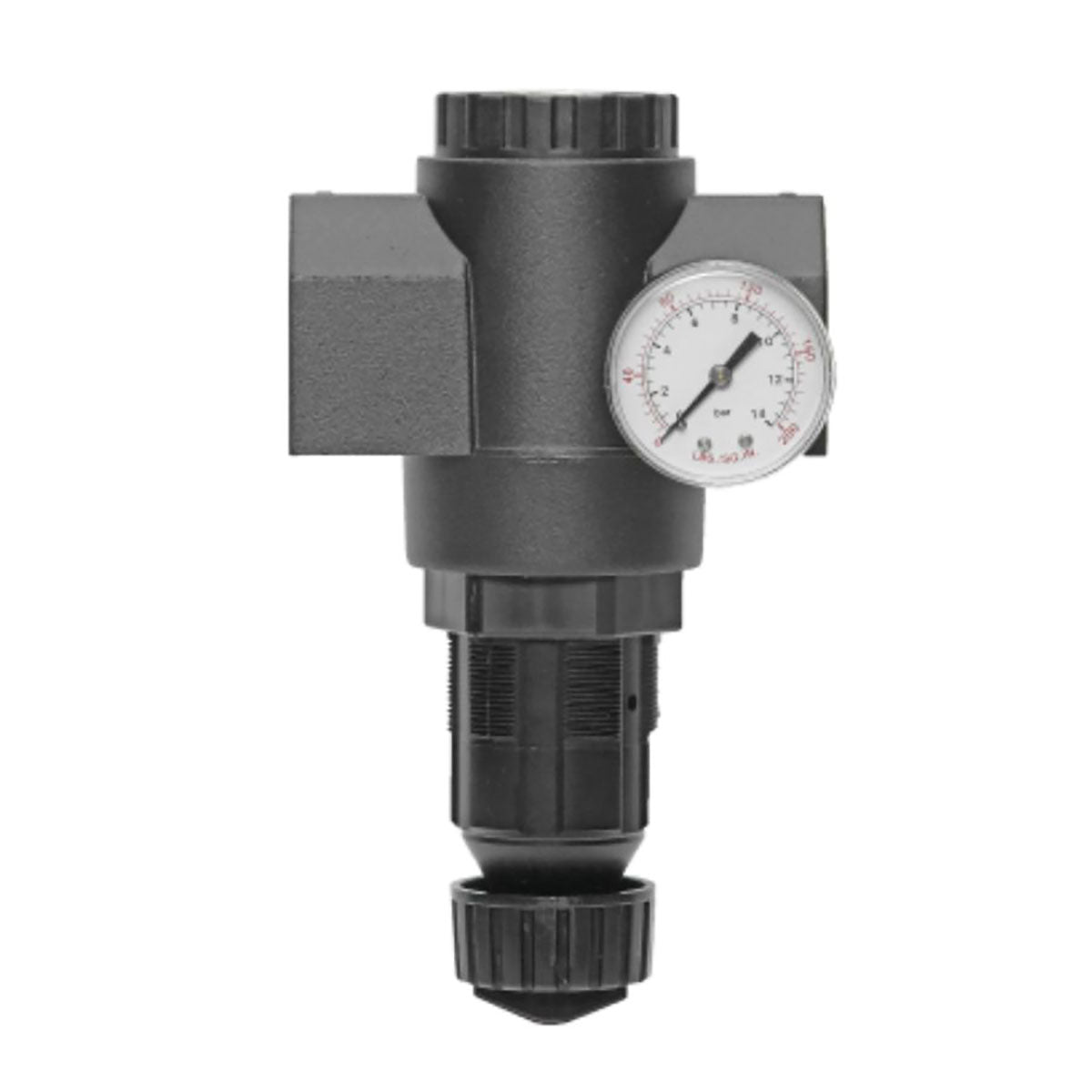 Master Pneumatic R180-10G Regulator
