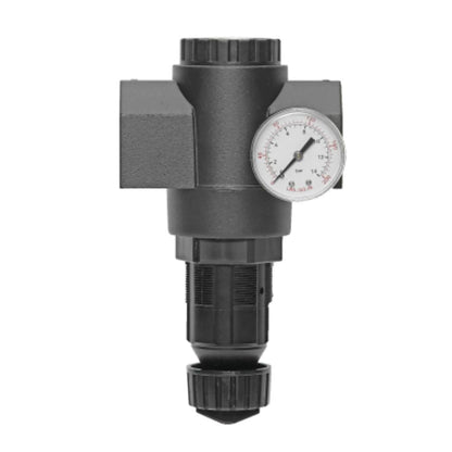 Master Pneumatic R180-10G Regulator